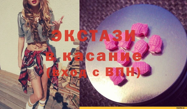 ECSTASY Кадников
