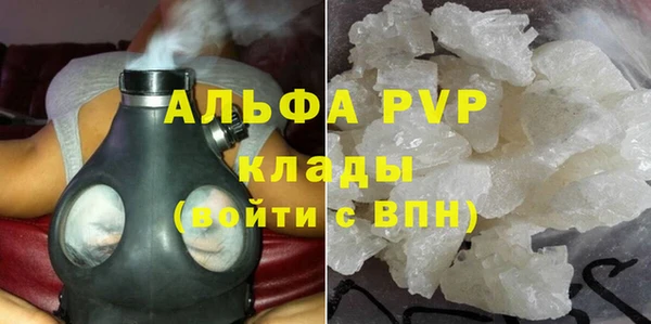 ECSTASY Кадников