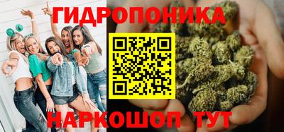 гидра Кингисепп