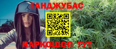 гидра Кингисепп