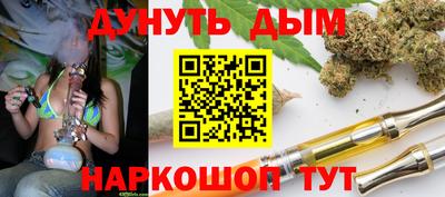 гидра Кингисепп