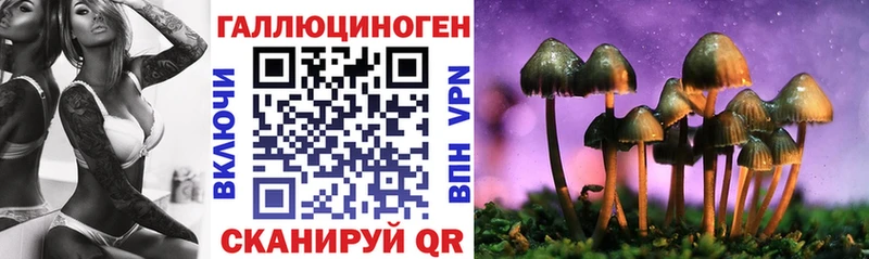 купить наркотик  Похвистнево  Галлюциногенные грибы Psilocybine cubensis 
